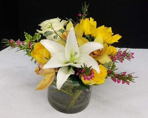 Yellow and white beautiful contrasting