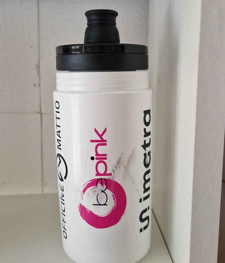 Bepink 2.jpg