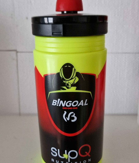Bingoal WB 3.jpg
