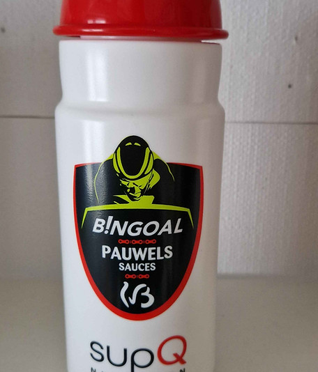 Bingoal WB 2.jpg