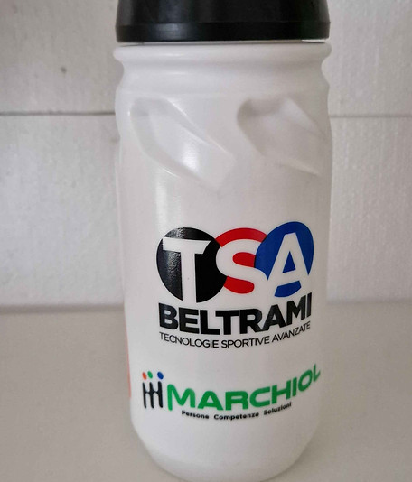 Beltrami.jpg