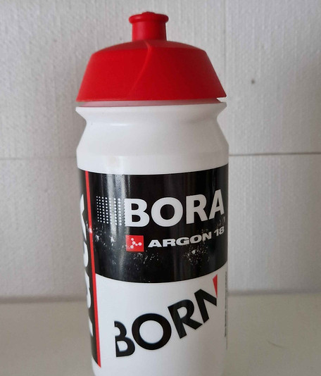 Bora 2.jpg