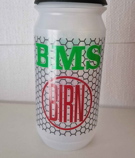 BMS.jpg