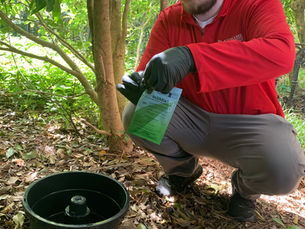 Blasingame Pest Management technician servicing In2Care mosquito stations in Griffin, GA