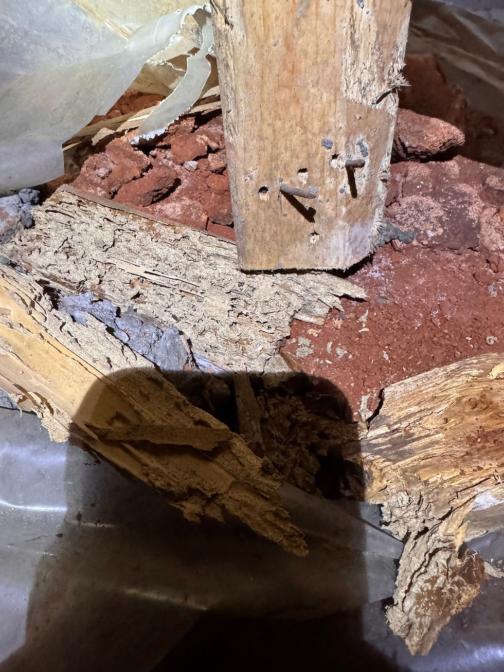This picture shows some wood used for bracing in a crawlspace that has been eaten by termites.
