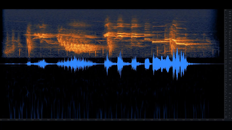 Thumbnail: Bird Whistling, Robin, Single, 01-08