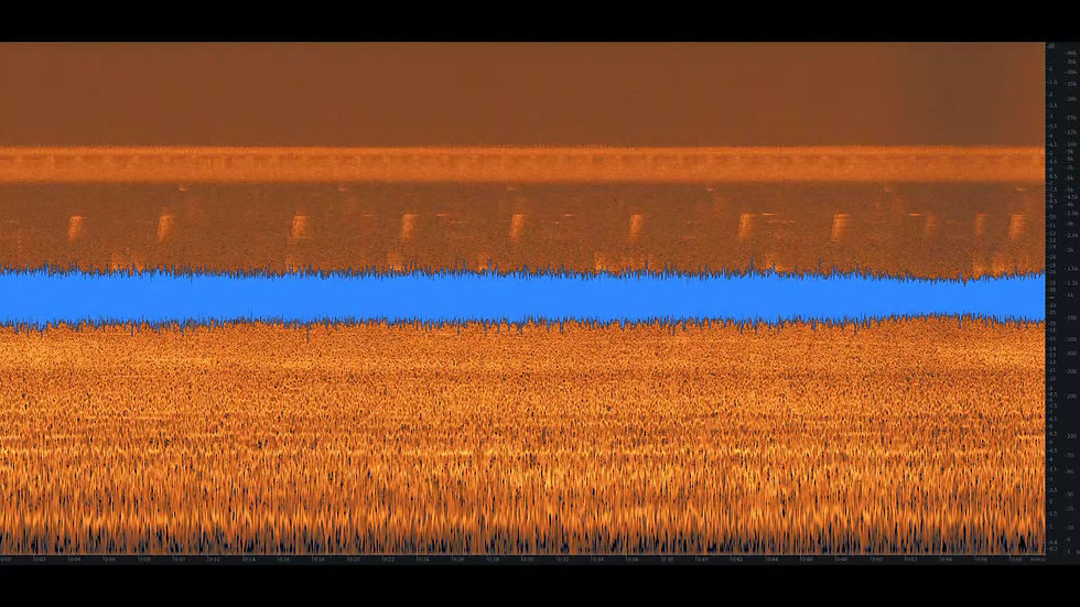 Thumbnail: Ambience, Day Wildlife, 03 LOOP
