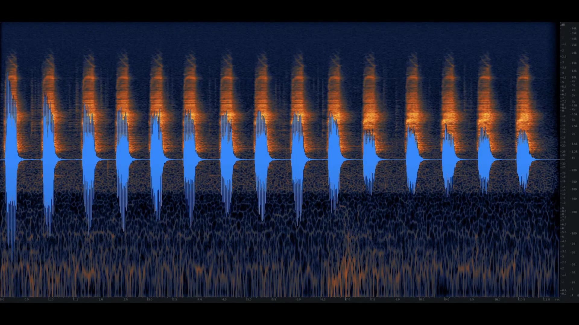Florida Treefrog, Close, In Air Vent, 06
