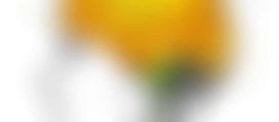 La importancia de las evaluaciones neuropsicológica