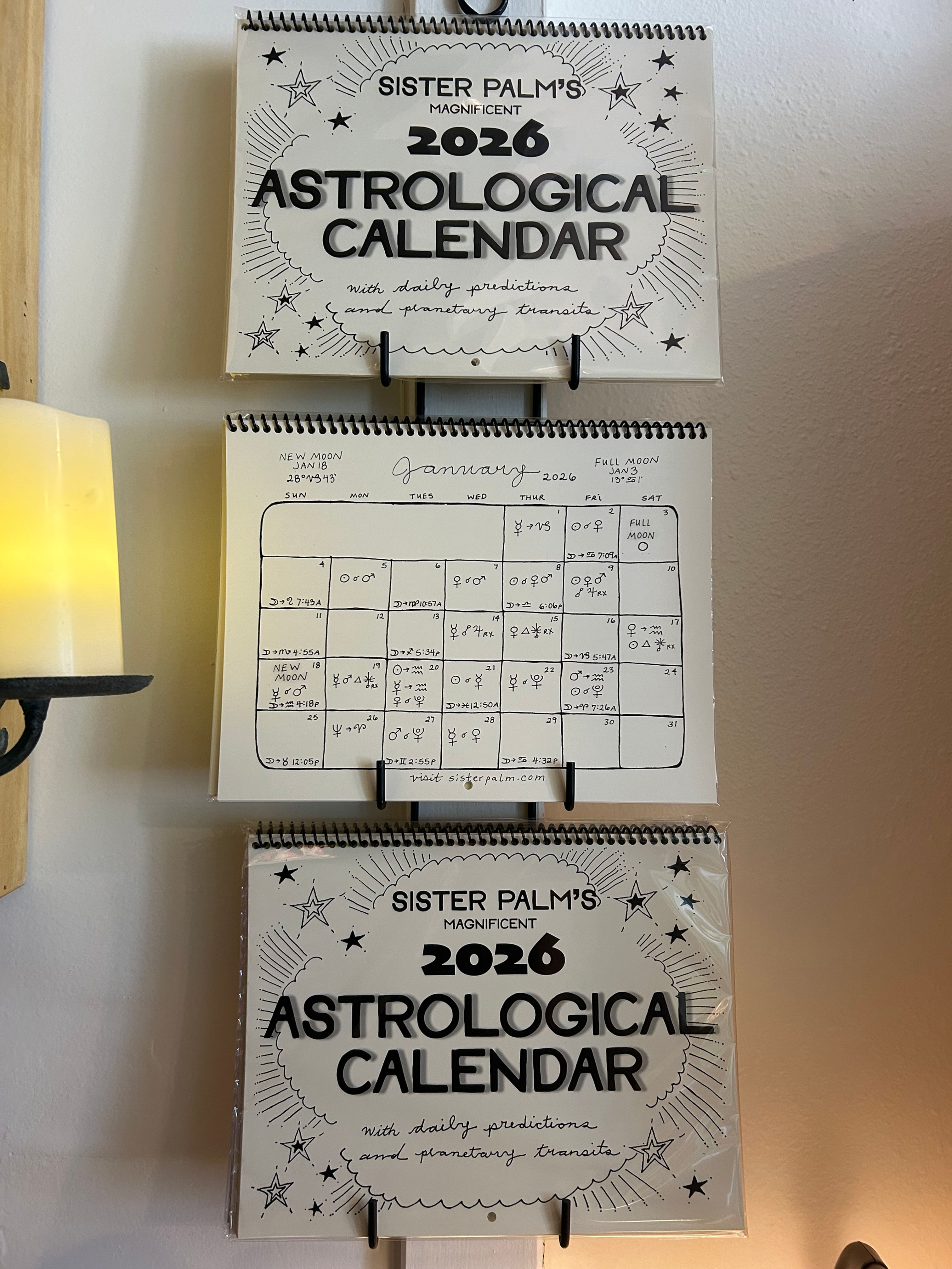 2026 Sister Palm Calendar