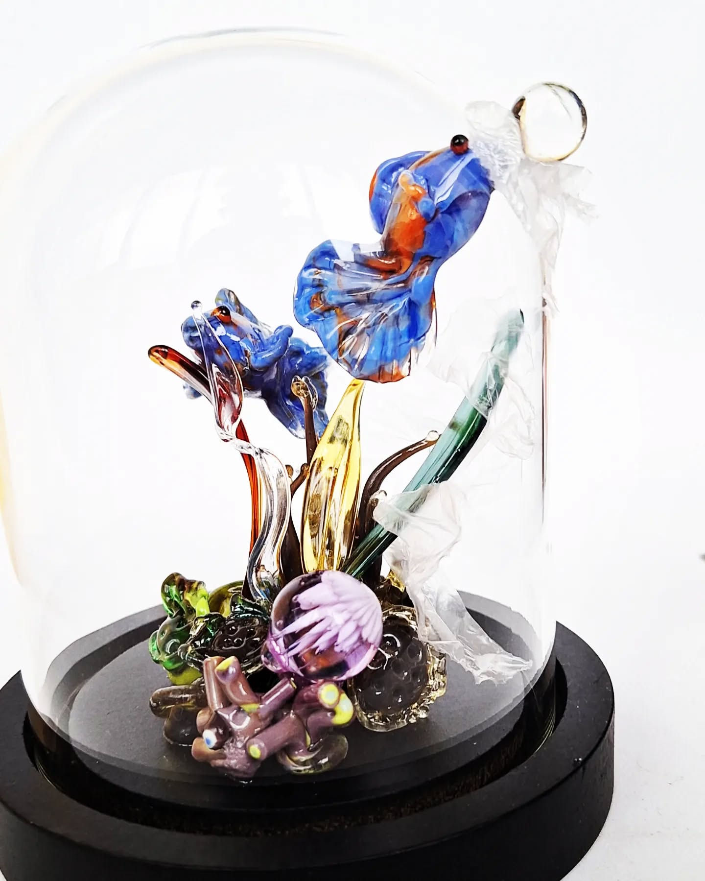 Glazen stolp Visjes - Een wereld van glas en stilte