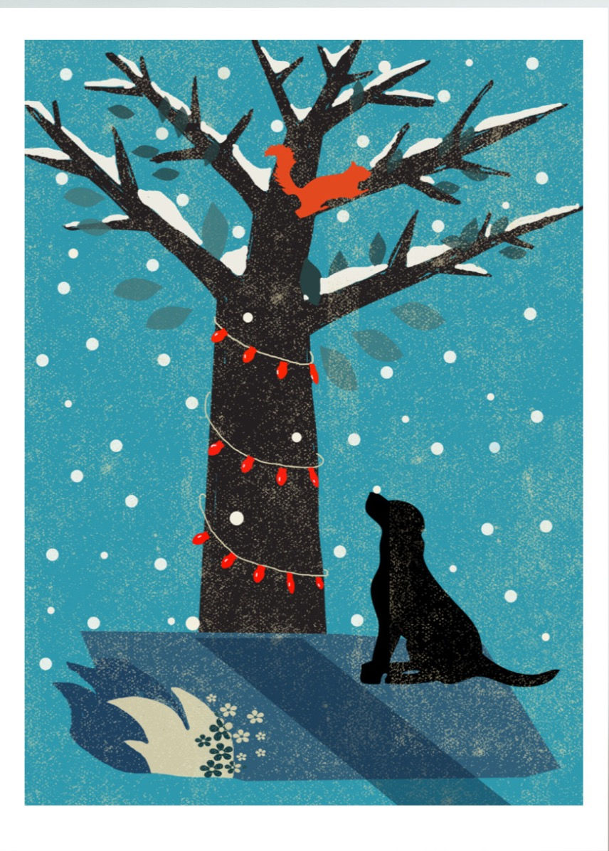 Thumbnail: Labrador Under Winter Tree Print