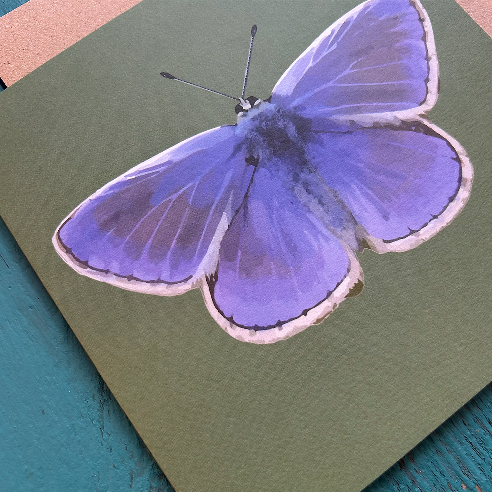 Thumbnail: Common Blue Butterfly Square Card