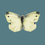 Thumbnail: Cabbage White Butterfly Square Card