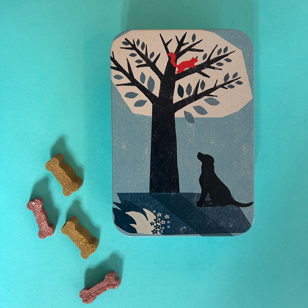 Thumbnail: Labrador Dog Treat Tin