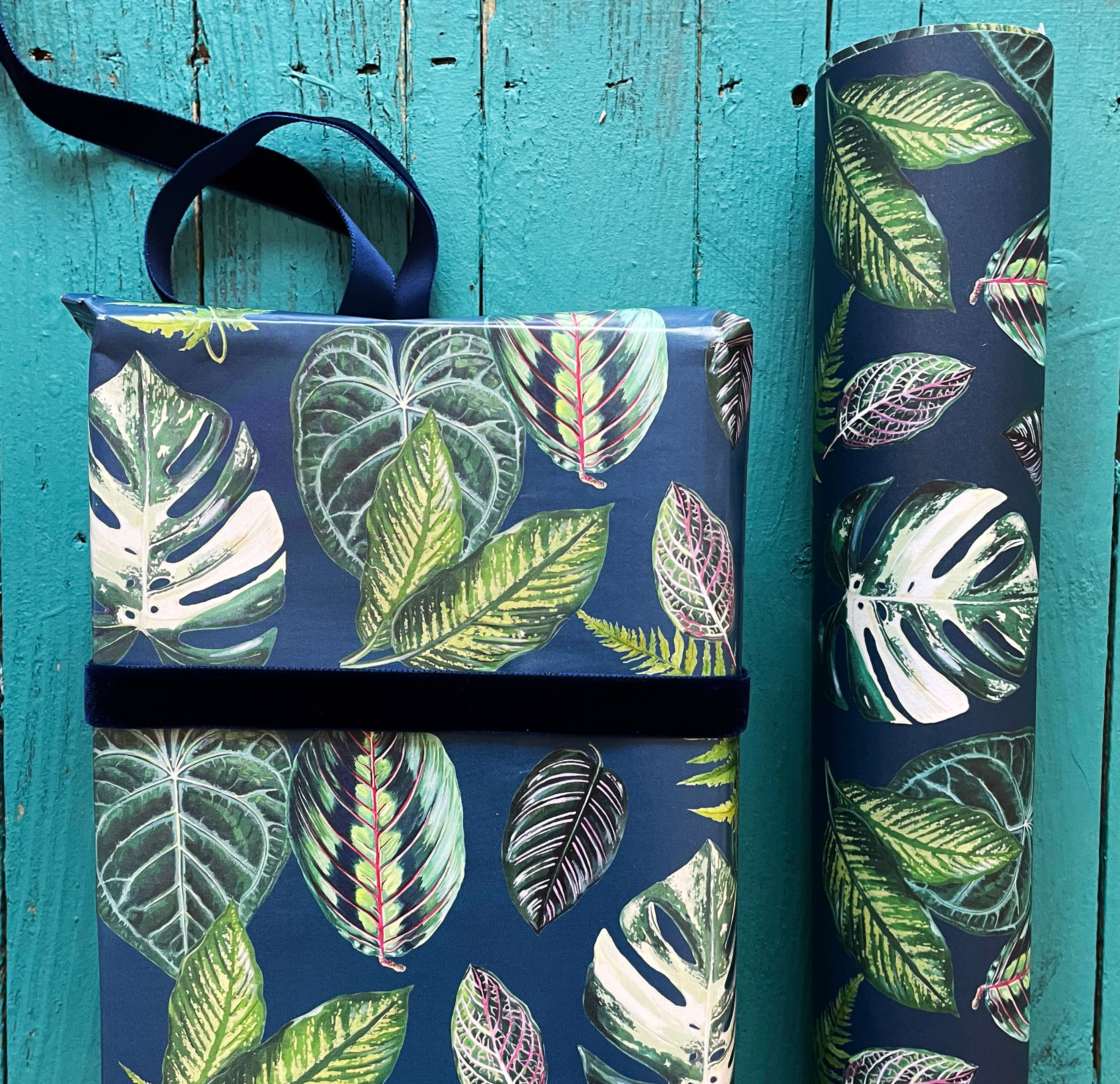 Mixed Housplants Navy Wrap x 2 sheets