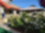 20190528_175303.jpg