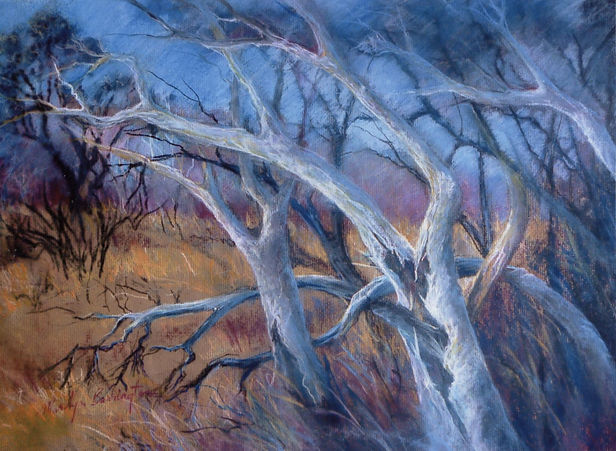 Scene of paperbarks in pastel
