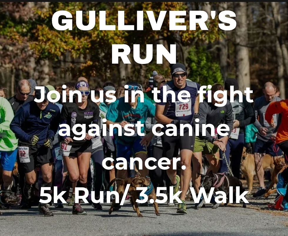 Gulliver's Run Event Pinchot Park