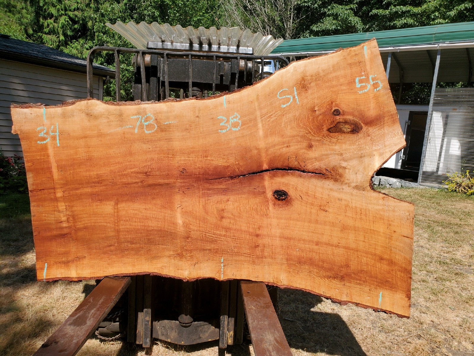 78" x 42" Sycamore Slab