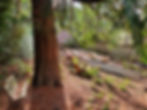 A view of our work area at the bottom of a large slope.