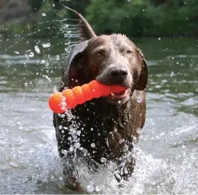 Thumbnail: RuffDawg Dawg Buster retrieving dog toy for aggressive chewers