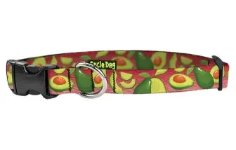 Cycle Dog Advocado Dog Collar Small Dog