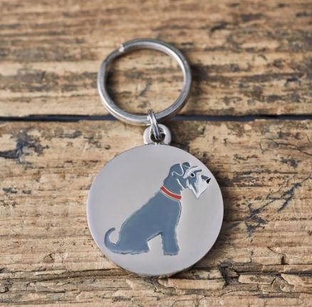 dog tag schnauzer