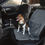 Thumbnail: Single car pet seat protector