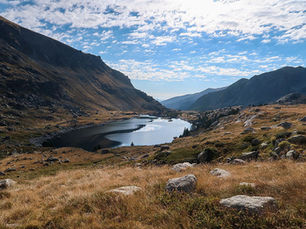 Caprice au pays des Merveilles