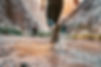 Image1Couverture-min.jpg