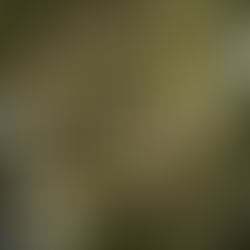 Plot of land - Complete guide to rules, costs and process