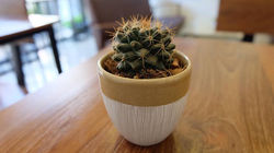 15966086_211146515959135_6847173676292108729_n