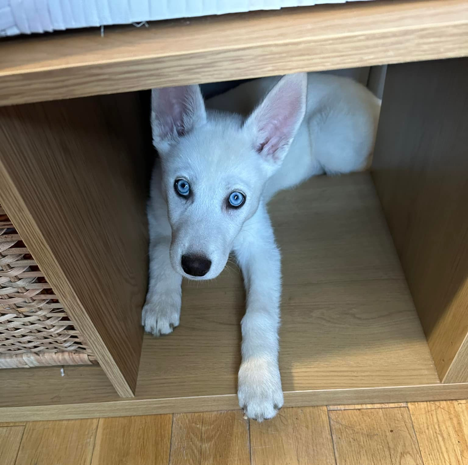 Products used  to sooth and clean sensitive skin