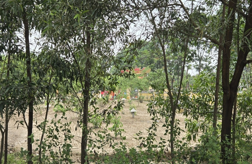Vietnamese military base at Camp Eagle