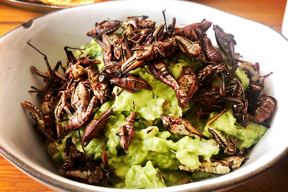 Chapulines fritos acompañados de guacamole
