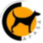 cropped-logo-header-180x180-1.webp