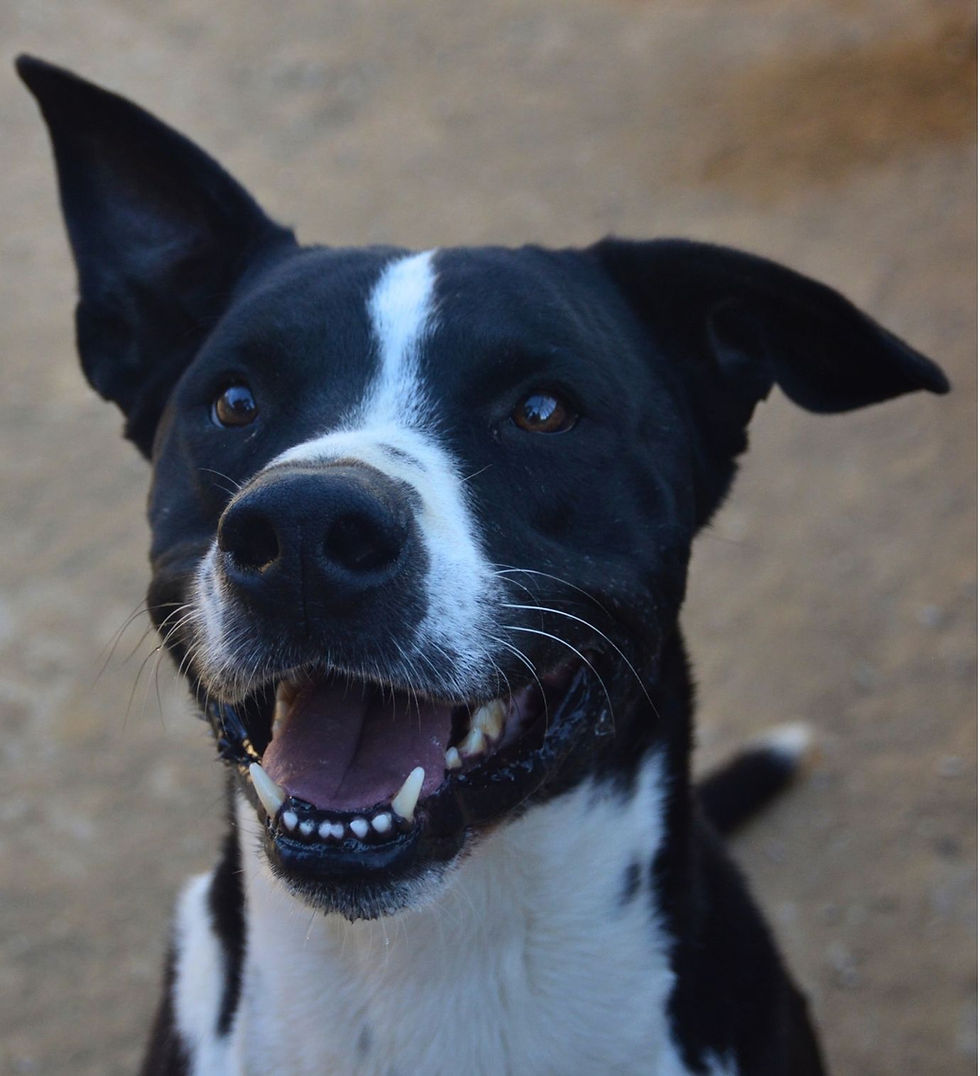 Placeholder Image.jpg