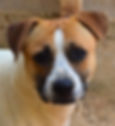 Placeholder Image.jpg