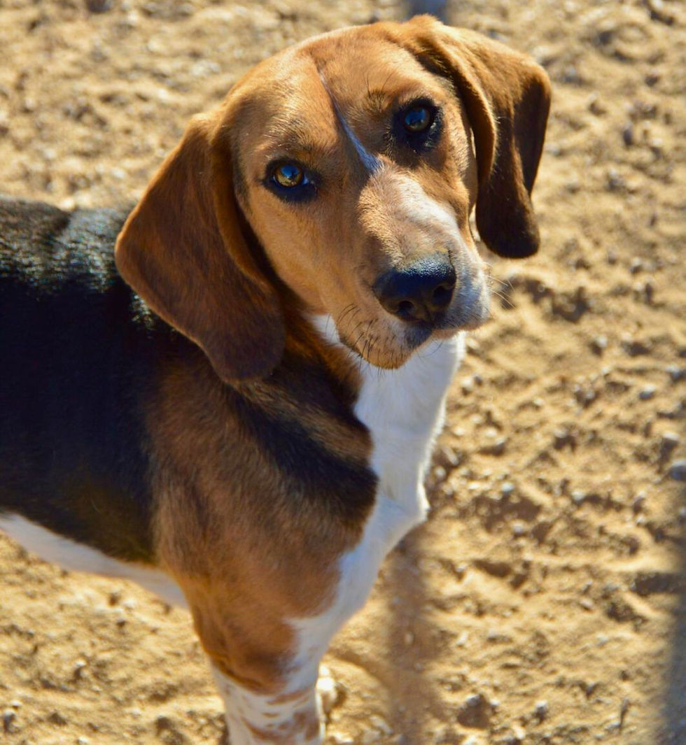 Placeholder Image.jpg