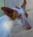 Placeholder Image.jpg