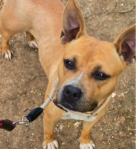 Placeholder Image.jpg