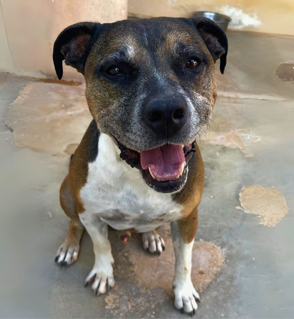 Placeholder Image.jpg