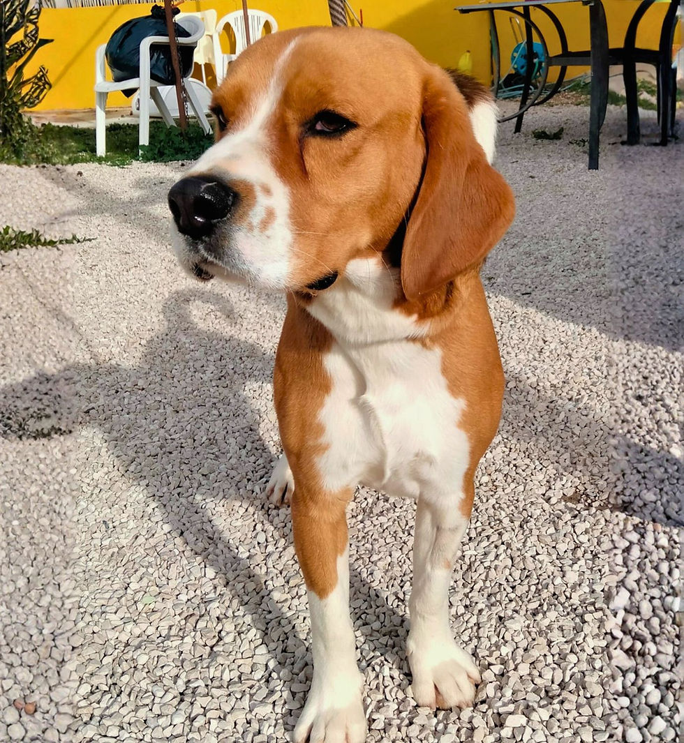 Placeholder Image.jpg