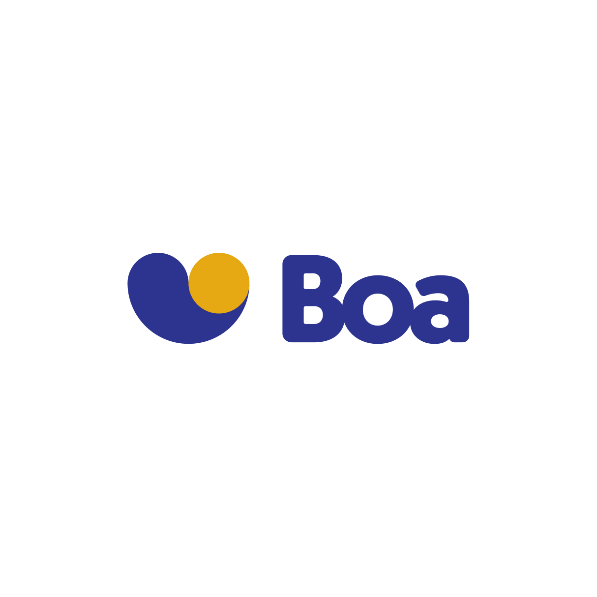 boa logo.jpg