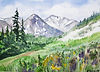 original-watercolor-colorado-mountains-and-flowers-cascade-colors.jpg