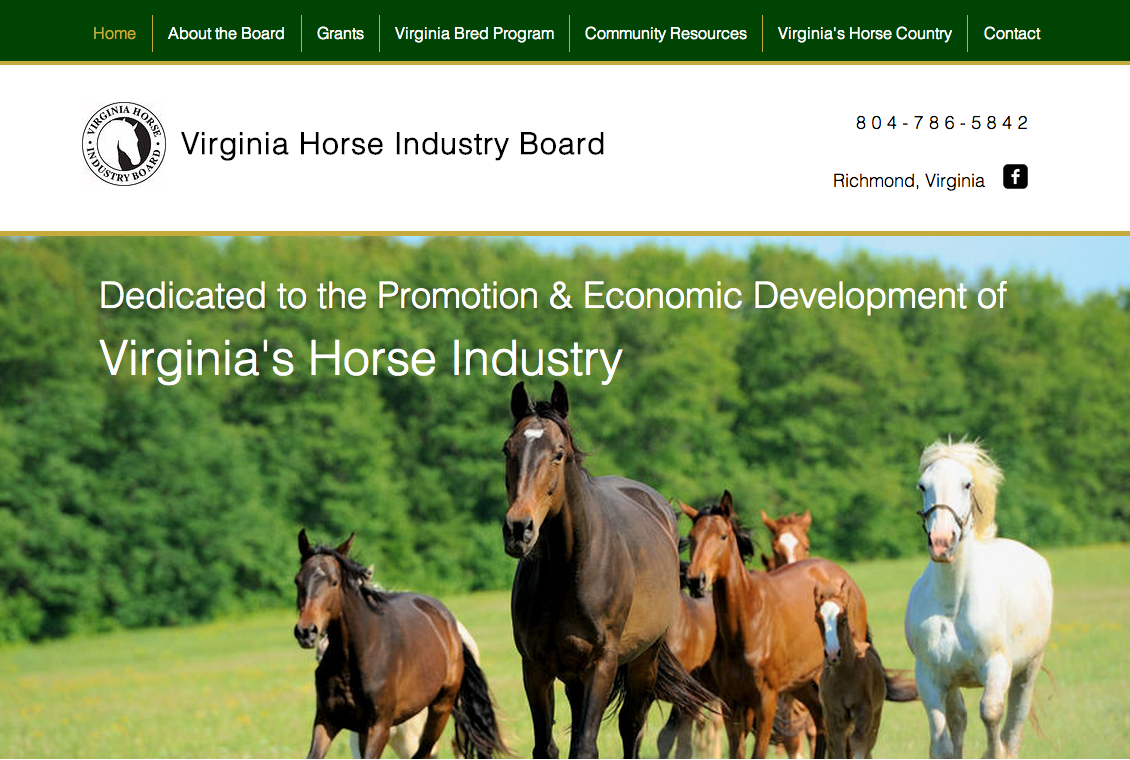 Virginia #39 s Horse Country
