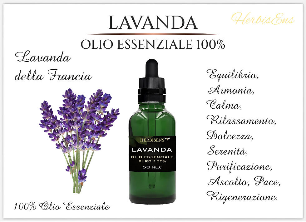 Miniatura: LAVANDA. OLIO ESSENZIALE 100% PURO (50ml.) PACE. EQUILIBRIO. ARMONIA.