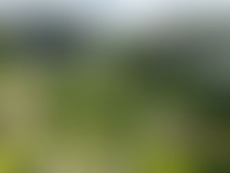 ExxonMobil Research and Engineering