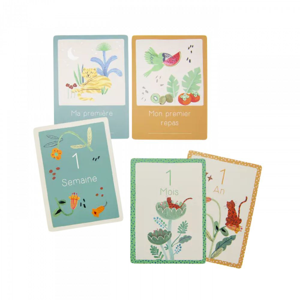 Cartes Mes 12 premiers mois - La forêt de Mawa - Moulin Roty